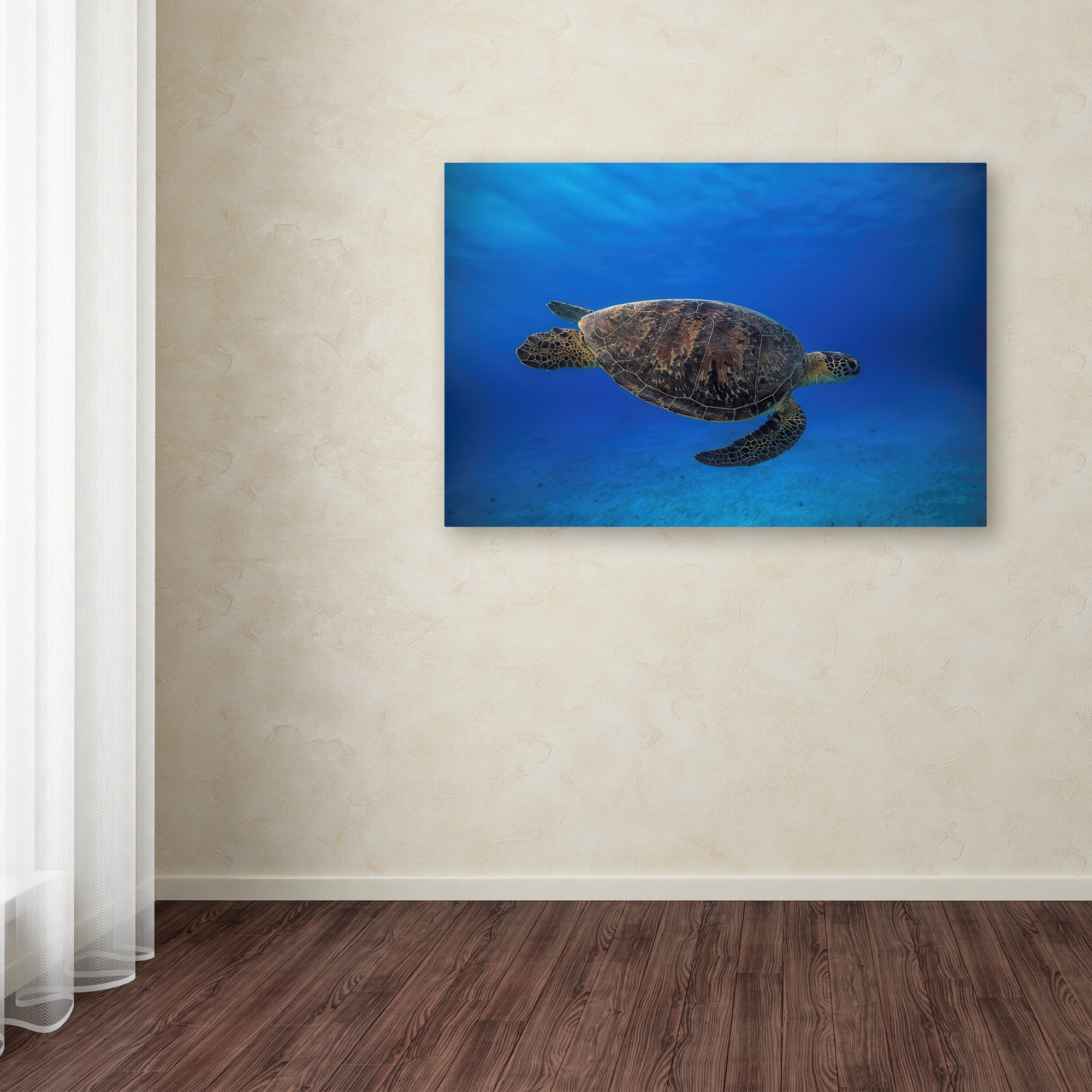 Trademark Fine Art 'Green Turtle In The Blue I' Canvas Art by Barathieu Gabriel