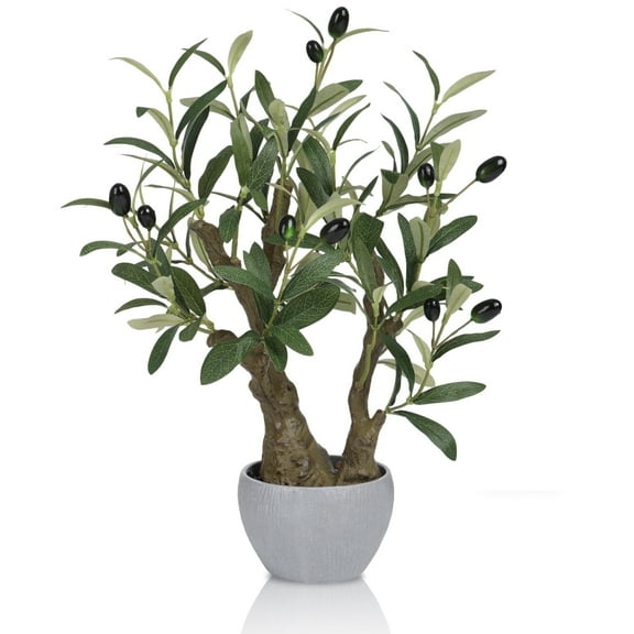 Small Artificial Olive Bonsai Tree Decor 18.5'' Tall Faux Olive Tree Potted Plant Desk Display with Bonsai Pot Decorative Greenery Realistic Wood for Home Office Countertop Kitchen Table Decor