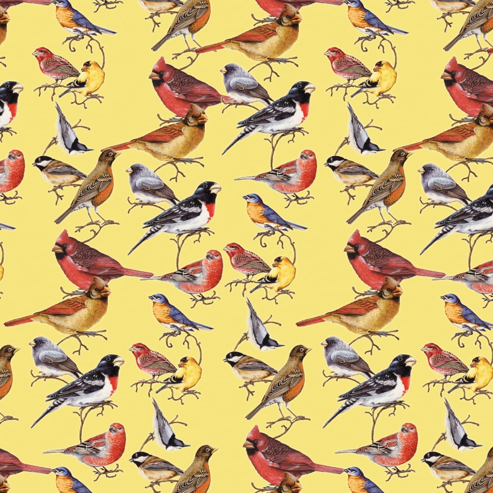 Birds Songbirds Cardinal Finch Robin Premium Roll Gift Wrap Wrapping