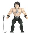 thumbnail image 4 of Super7 Glenn Danzig - 3.75" Danzig Action Figure with Accessory Heavy Metal Collectibles and Retro Toys, 4 of 4
