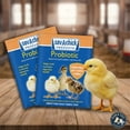 thumbnail image 4 of Save-A-Chick® Products Probiotic Poultry Digestive Supplement 3- 0.17 oz. Pack, 4 of 4