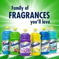 thumbnail image 3 of Fabuloso All-Purpose Cleaner, Passion Fruit - 16.9 fl oz, 3 of 6