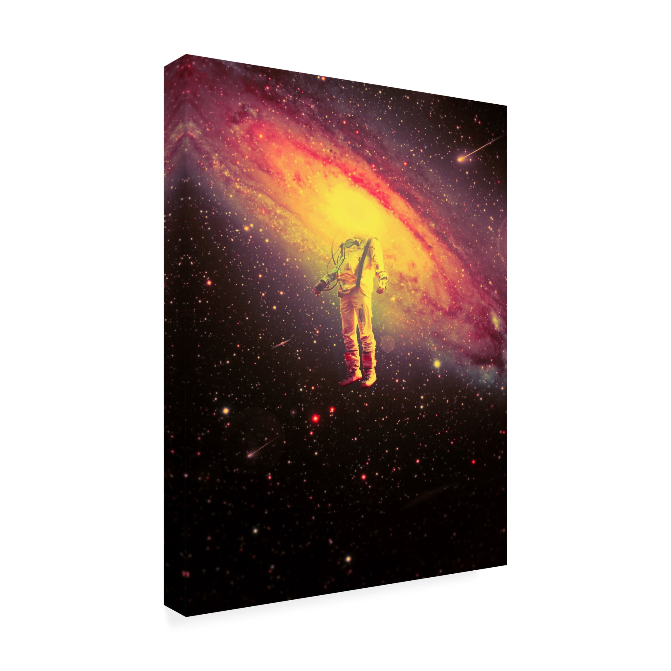 Canvas Wall Art - Francis Minoza 'Mr. Galaxy' Wall Art for Living Room, Bedroom, or Office D?cor by Trademark Fine Art - 24 x 32 Inches