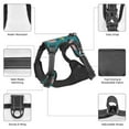 thumbnail image 3 of Vsdgher Dachshund Dog Pattern Dog Harness,No Pull Pet Harness with Soft Padded Handle,Adjustable Reflective Vest with 2 Buckles,4 Slide Buckles,S-XL Small, 3 of 5
