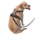 thumbnail image 3 of Bingfone Dog In Lavender Flowers No Pull Dog Vest Harness For Small Medium Large Dogs Strap For Puppy Walking,Training,Dog Harness-Medium, 3 of 9