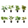thumbnail image 3 of Bearachild Hojas artificiales de bajo mantenimiento de plantas falsas en maceta de tortuga ABS para la sala de estar de la oficina en el hogar Type3 NO3, 3 of 6