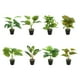 thumbnail image 4 of Decoración de plantas en macetas de tortuga Bearachild Plantas artificiales ecológicas bajo mantenimiento JH5476, 4 of 6