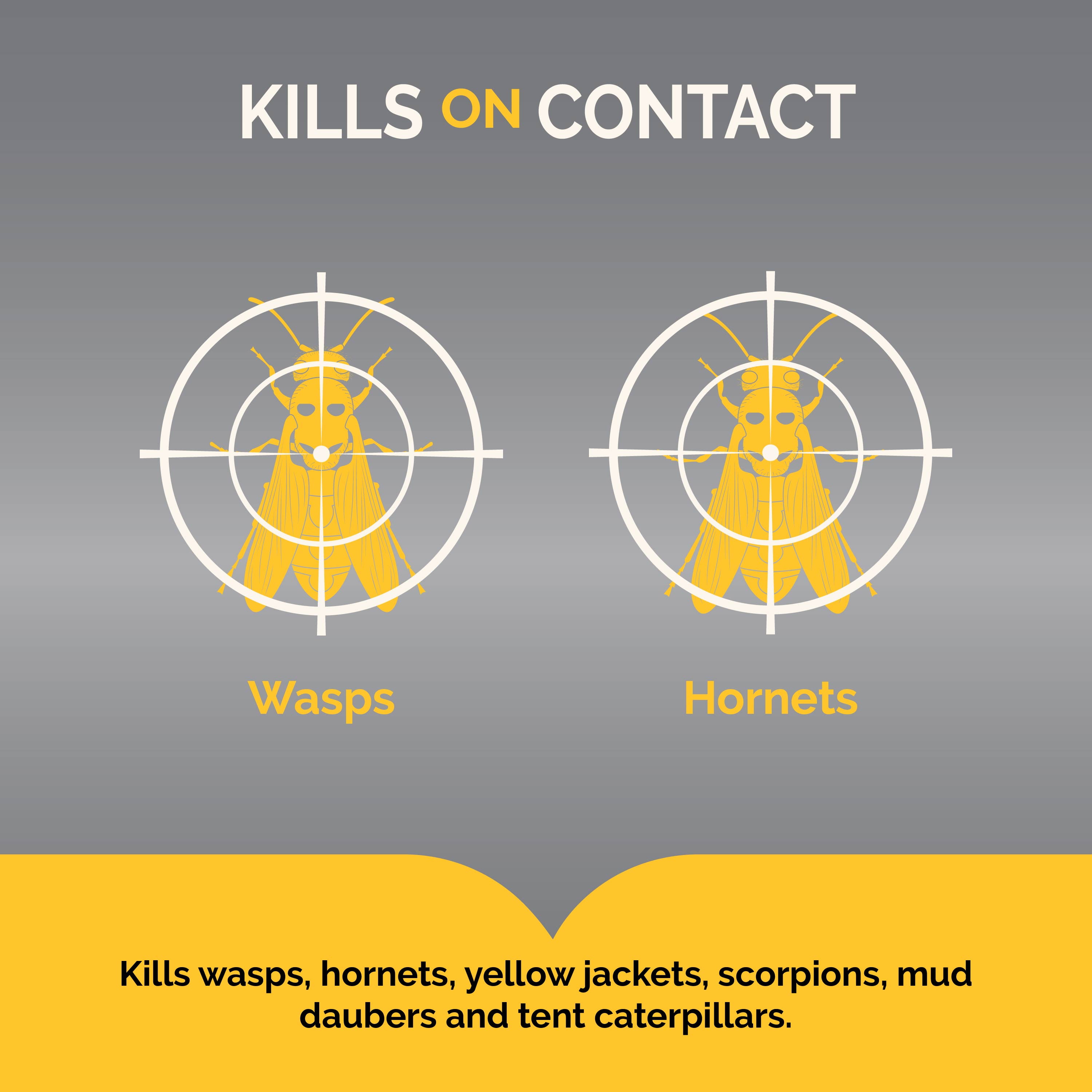 Hot Shot Wasp & Hornet Killer Outdoor Aerosol Spray, 17.5 Ounces