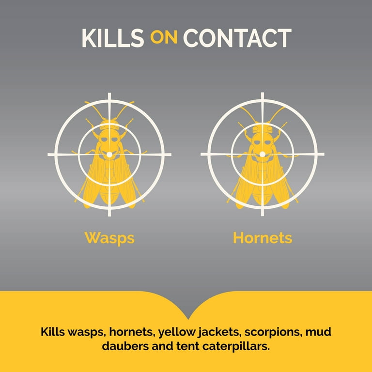 Hot Shot Outdoor Wasp & Hornet Killer, 17.5 oz., Twin Pack photo 2