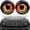 I, variant on HYEASTR 2PCS Beast Eyes Headlight Decals, 3D Stereo Eyes Headlight Decal Stickers, Car Body Window Bumper Decoration Stickers, Car Accessories Round Headlight Decal for Jeep Wrangler