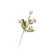 thumbnail image 2 of MMJ Artificial Peony Flower White Faux Peony Branch 28in for Vase Table Centerpiece Wedding Party Home Sofa Display, 2 of 6