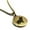 Gold, variant on Stainless Steel Pig Good Luck Charm Round Medallion Pendant Necklace