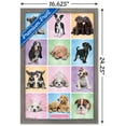 thumbnail image 2 of Keith Kimberlin - Puppies - Cuties Grid, 2 of 4