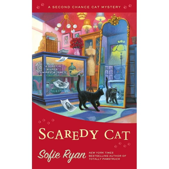 Scaredy Cat (Paperback)