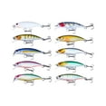 thumbnail image 2 of 10 señuelos de pesca, cebos artificiales, cebos duros de hundimiento , señuelos de lubina realistas, cebos de pesca para lago de agua dulce, 2 of 9