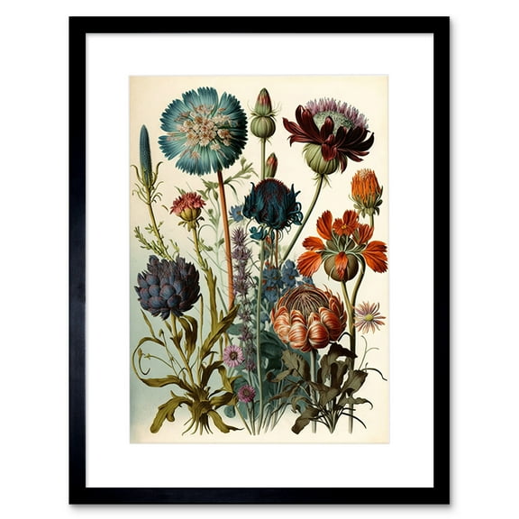 Vintage Botanical Illustration Ernst Haeckel Inspired Plant Study Modern Watercolour Painting Artwork Framed Wall Art Print 9X7 Inch