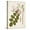 Canvas, variant on Art.com Vintage Flowering Trees VIII Art Print by 0 Unknown, 12" x 16"