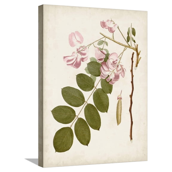 Art.com Vintage Flowering Trees VIII Stretched Canvas Print Wall Art by 0 Unknown, 18" x 24"