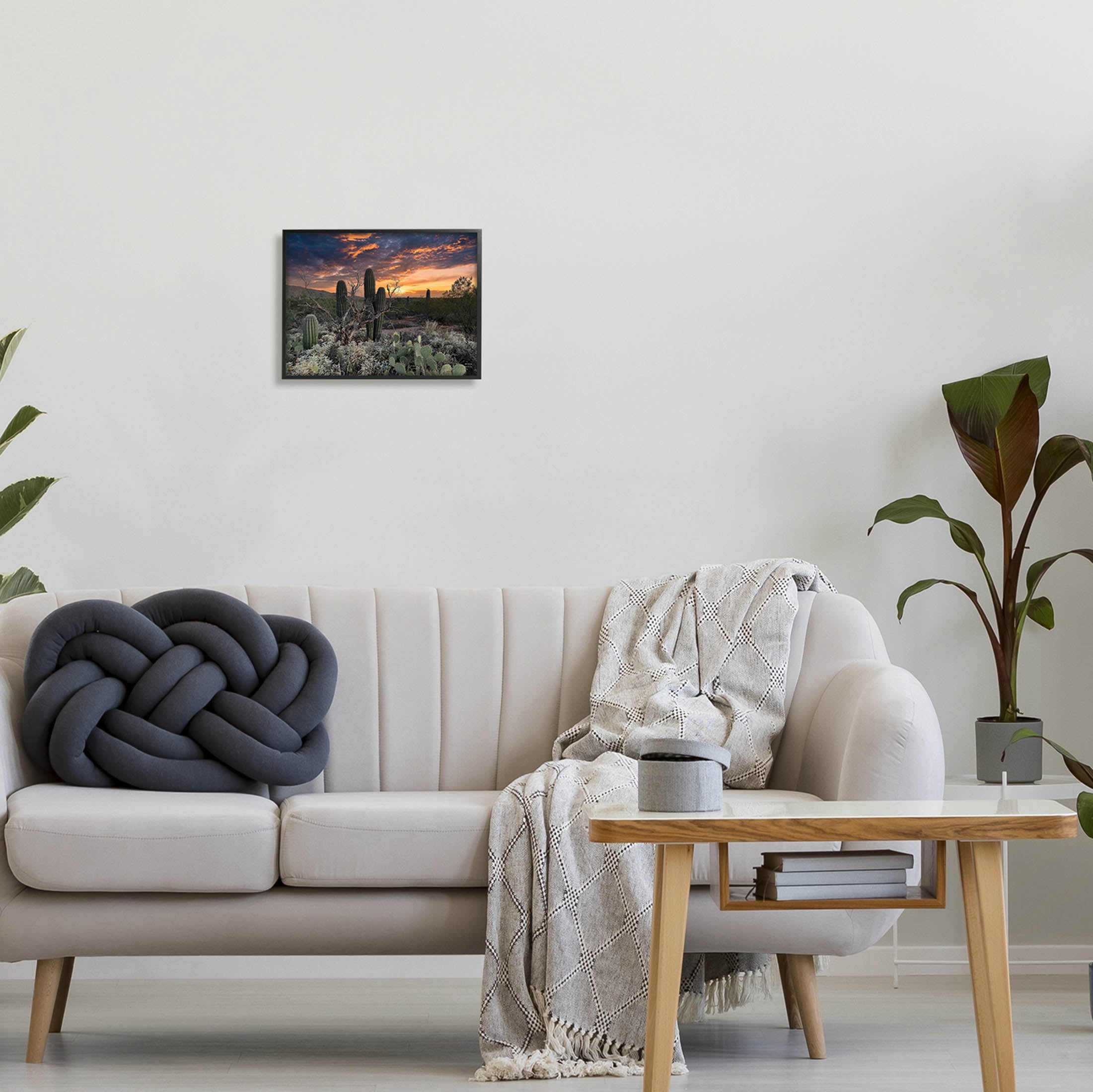 Stupell Industries Arid Desert Cactus Sunset Photograph Black Framed Art Print Wall Art, Design by Nathan Larson