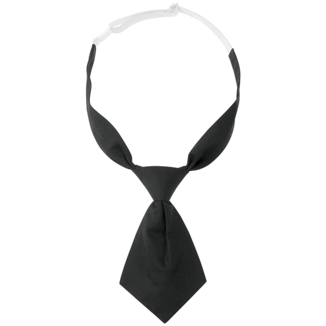 Corbatas cortas preatadas para mujeres INSPIRE CHIC, color sólido, corbata pequeña para uniforme escolar, negra, talla única