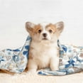 thumbnail image 4 of Yiaed Butterfly Print Dog Blankets-Cat Blanket Washable for Couch Protection,Puppy Blanket, Soft Plush Reversible Throw Furniture Protector-Small, 4 of 8