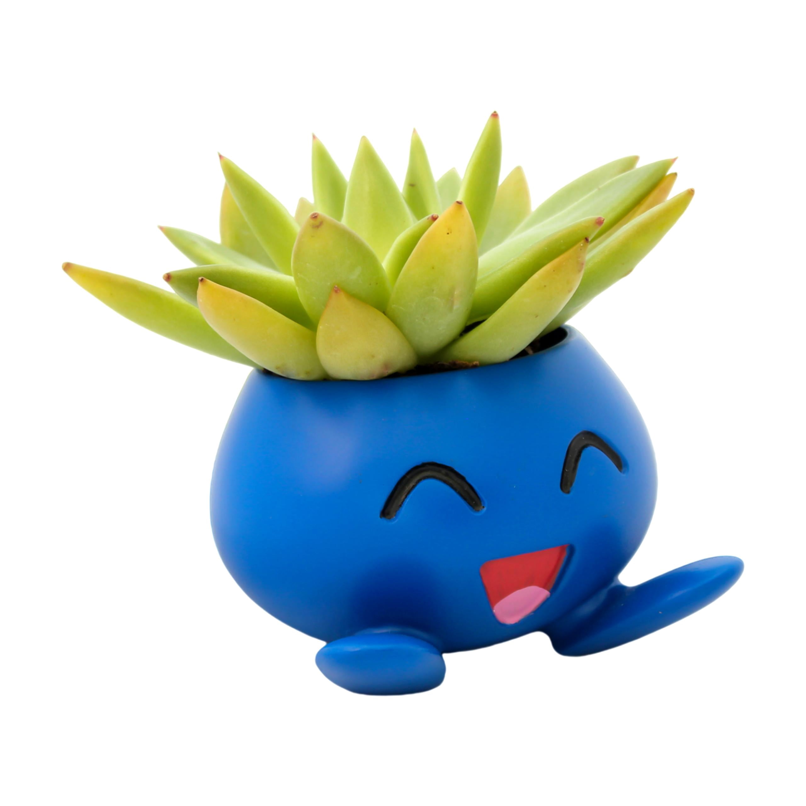 Oddish Pokemon Plant Pot 3.5'' Tall - Anime Succulent Planter For Office Desk, Home Decor, Garden