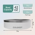thumbnail image 6 of Coldest Dog Bowl - Stainless Steel Non Slip No Spill Proof Skid Metal Insulated Dog Bowls, Cats, Pet Food Water Dish Feeding for Large Medium Small Breed Dogs (42 oz, Epic White), 6 of 9