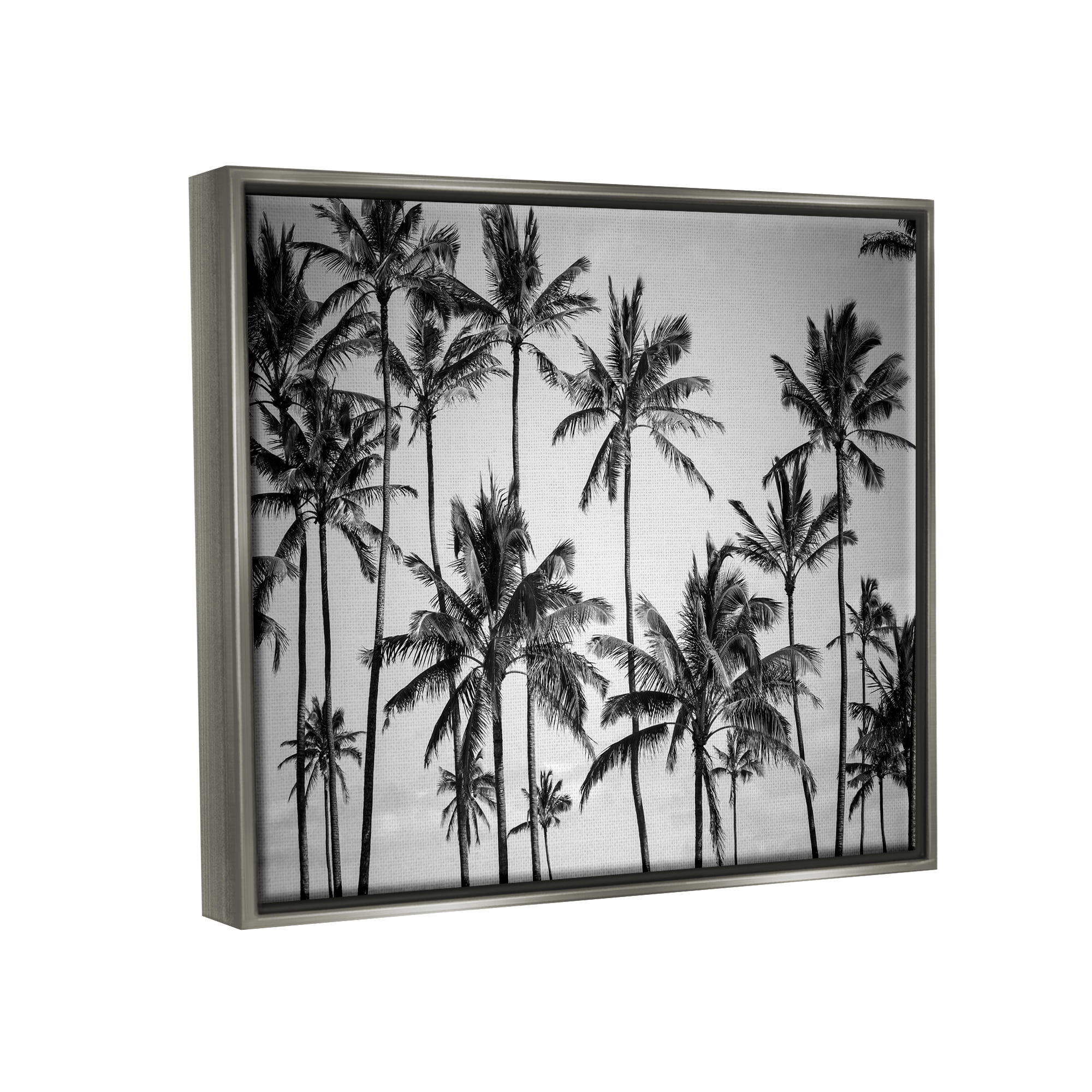 Stupell Industries Palm Trees Skyline Black and White Photography Luster Gray Framed Floating Canvas Wall Art, 24x30, by Design Fabrikken