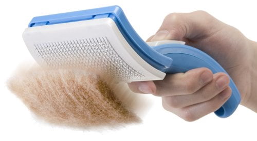 petzoom self cleaning grooming brush