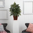 thumbnail image 2 of Nearly Natural Bracken Artificial Fern In Wooden Planter, 2 of 4