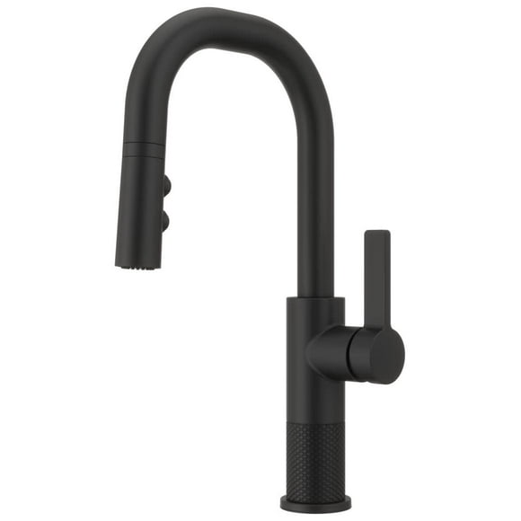 Pfister GT572-MTB Kitchen Faucets and Accessories, Matte Black