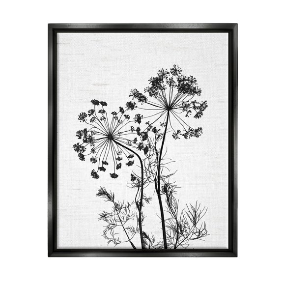 Stupell Industries Varied Botanical Herbs Casual Wildflower Birch Pattern Graphic Art Jet Black Floating Framed Canvas Print Wall Art, Design by Lettered and Lined