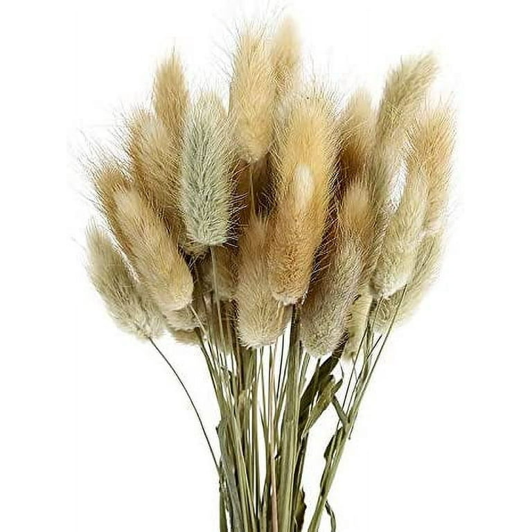Natural Plant Dried Flowers Home Decoration Eternal Flower