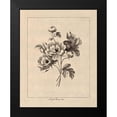 thumbnail image 2 of Harbick, N. 20x24 Black Modern Framed Museum Art Print Titled - Vintage Ranunculus, 2 of 5