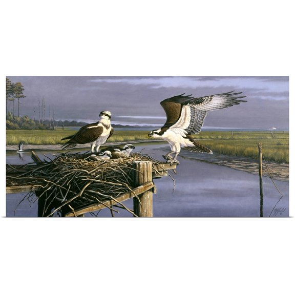 Great BIG Canvas | Rolled Wilhelm Goebel Poster Print entitled Chesapeake Treasurers - Osprey