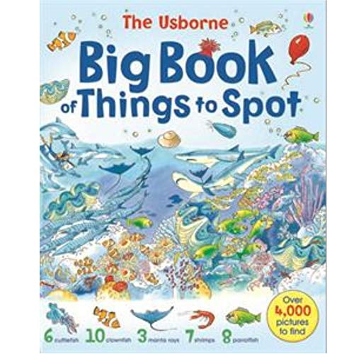 Pre-Owned Big Book of Things to Spot (1001 Things to Spot), 9780794503529, 0794503527, Paperback,