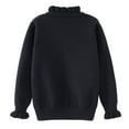 thumbnail image 3 of FamilyThread Boys And Girls Solid Color High Neck Knit Solid Sweater Casual Top For 1-12Y, 3 of 3