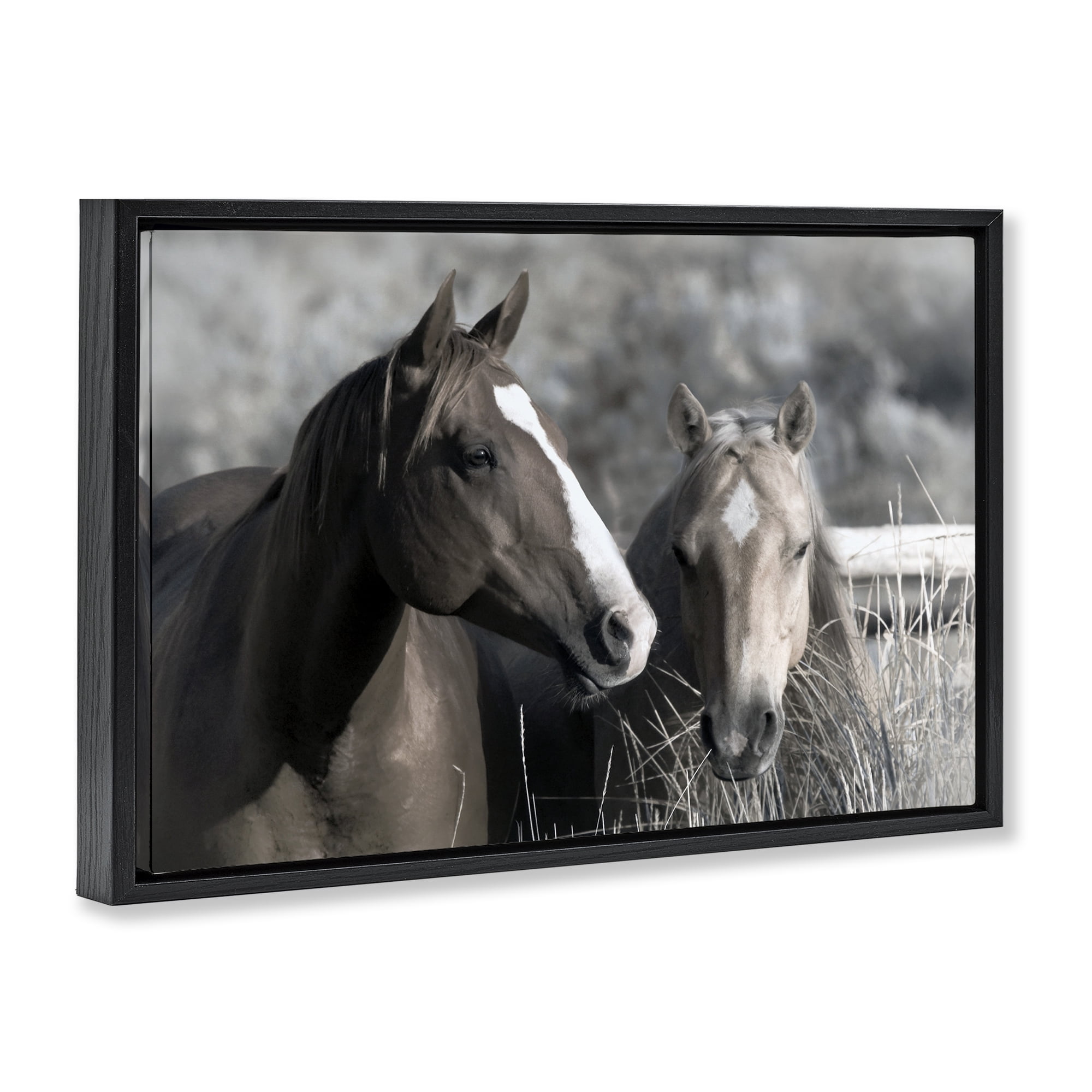 Stupell Industries Content Horses In Pasture Black Framed Floater Canvas Wall Art, design by Danita Delimont