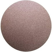 Benchmark Abrasives 10" Premium Aluminum Oxide No Hole PSA Discs, Self Adhesive Random Orbital Sander Discs for Sanding Polishing on Metal Wood Fiberglass (10 Pack) - 60 Grit
