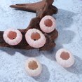thumbnail image 3 of Kuyiluo 10 piezas de concha de erizo de mar natural, adorno para el hogar, decoración para fiestas, maceta para plantas de aire, 3 of 8