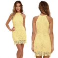 thumbnail image 1 of Robe Aguichant pour Femmes à Dos Nu en Dentelle, Robe Moulante Sans Manches Courte pour Cocktail et Fête, 1 of 8