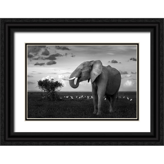 Sobhi, Ahmed 14x11 Black Ornate Wood Framed with Double Matting Museum Art Print Titled - Beautiful Elephant