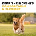 thumbnail image 5 of Left Coast Performance Chicken Bone Broth Protein Powder for Dogs and Cats, 8 oz, 5 of 10