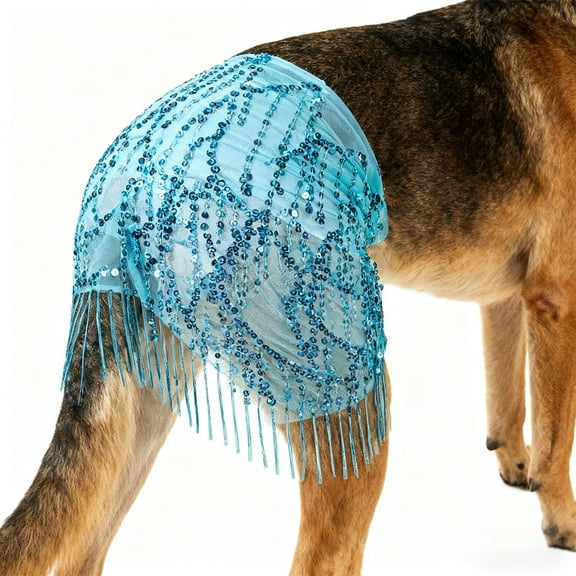 Ljxge Pet Costume Accessory Sequin Dog Belly Dancer Skirt With Waist Chain And Hip Curtain For Dance Performances And Themed Parties Comfortable Fit And Shiny Design Lake Blue 27.55 Inches