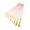 Pink, variant on Paint Brushes Set, 10 Pcs Round Pointed Tip Nylon Hair Artist Acrylic Paint Brushes for Acrylic Oil Watercolor, Face Nail Art, Miniature Detailing & Rock Painting (Pink) Multisize