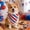 C, variant on Pet Bandana with Star Stripe Print, 4th of July Patriotic Decor, Independence Day Party Photo Accessory for Puppy Kitty Pet Triangle Bib
