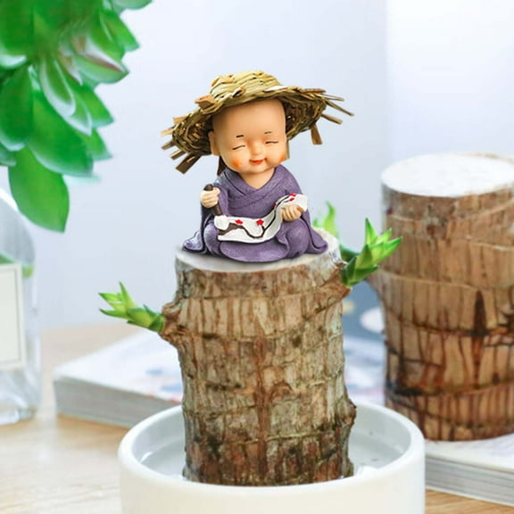 Orangide Aquatic Wood Decoration Potted Green Little Monk Plant for Home Desk Good Luck Charm Indoor Office Decor Zen Buddhist Style Ornament Water Grown Plant