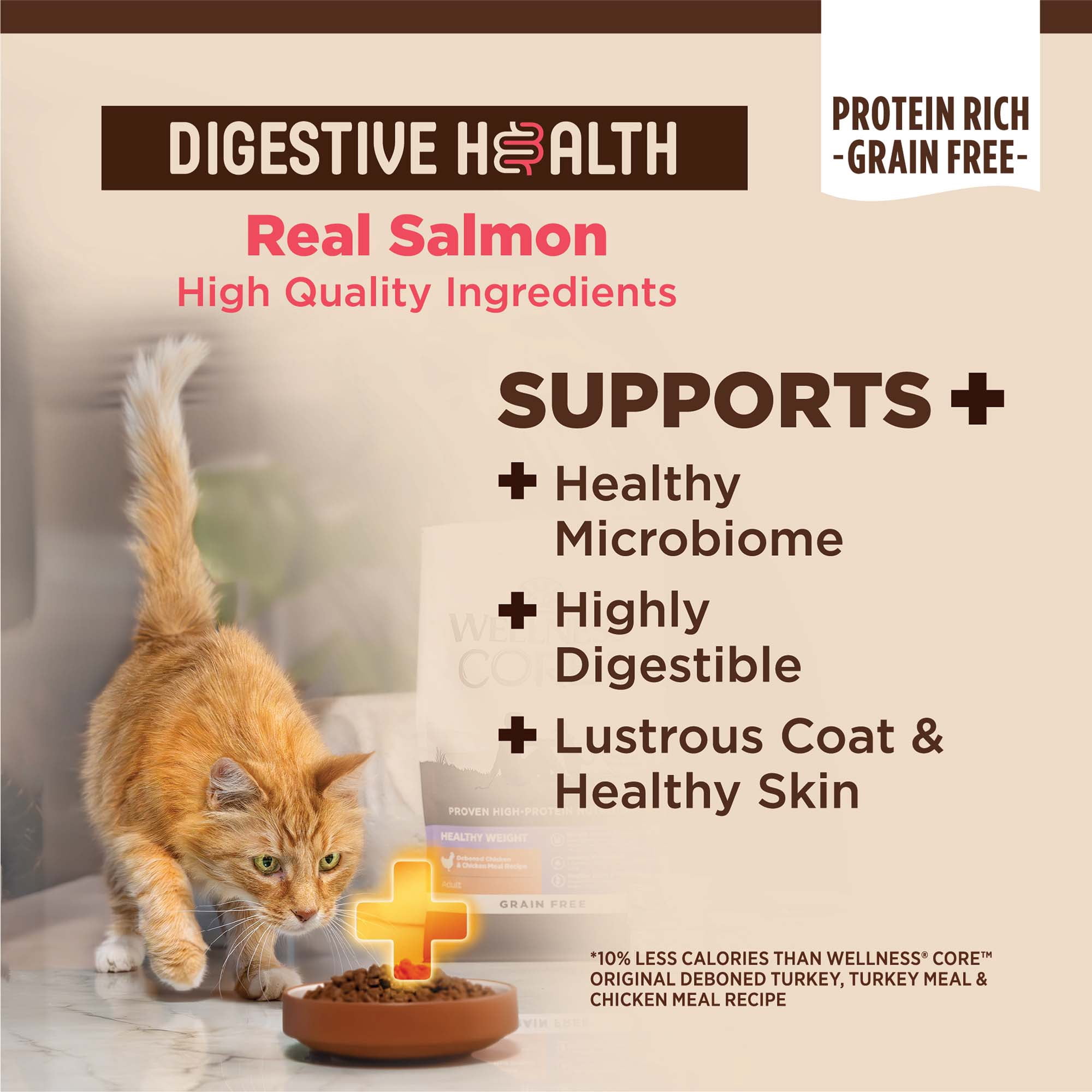 Wellness CORE+ Digestive Health Salmon & Rice Dry Cat Food, 5 Pound Bag