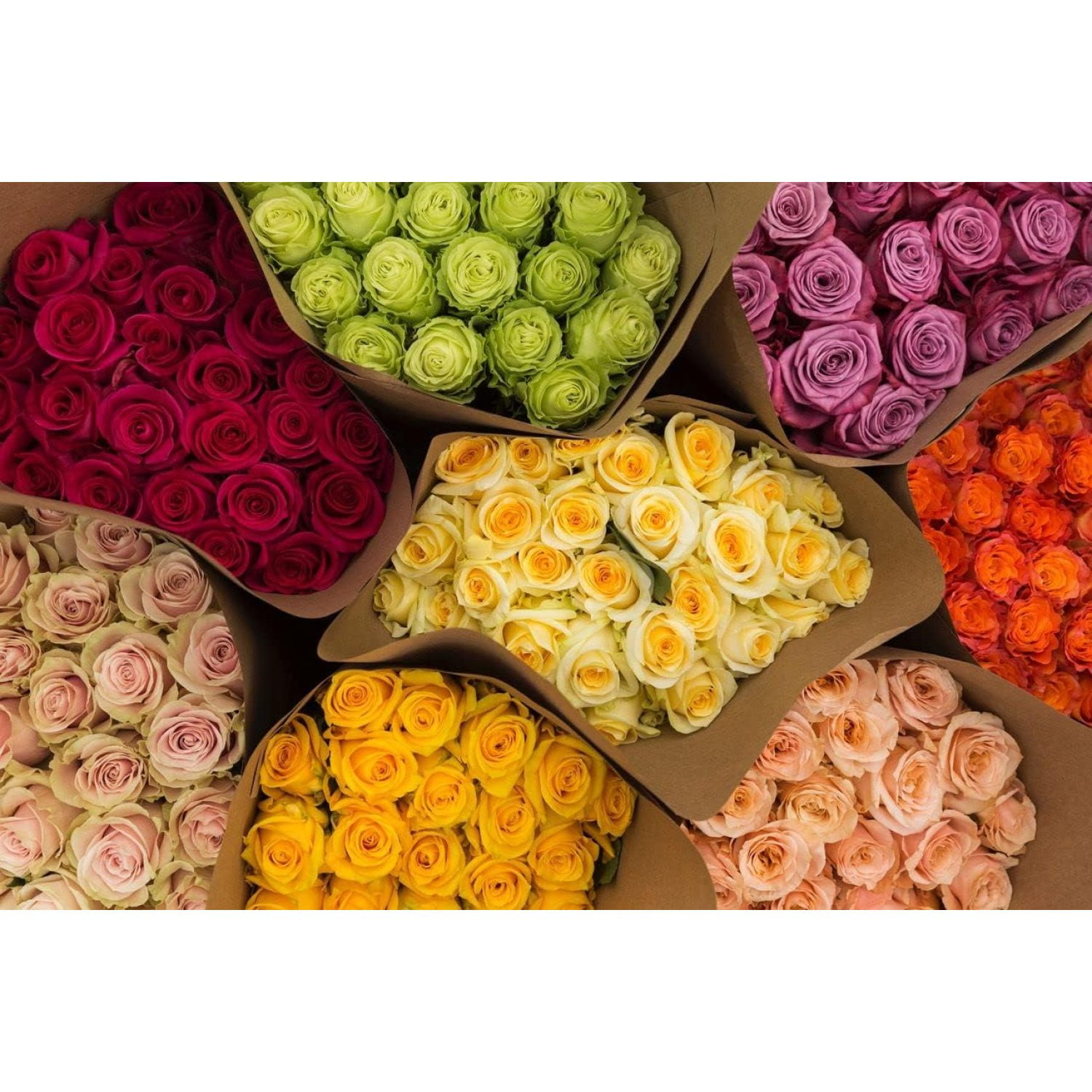 48 Farmer's Choice Rose Bouquet Beautiful Long Stem Roses Delivery Color chosen by our