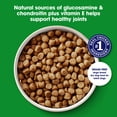 thumbnail image 4 of Nature's Recipe Grain Free Large Breed Dry Dog Food Chicken, Sweet Potato & Pumpkin, 24 lb Bag, 4 of 11